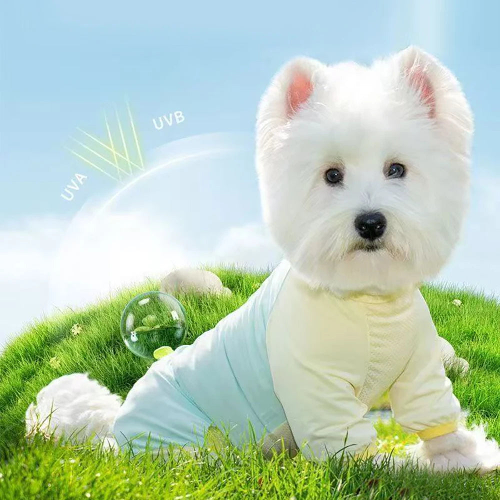 PetHaul UV Protection Dog Cooling Vest – Breathable Mesh Ice Jacket