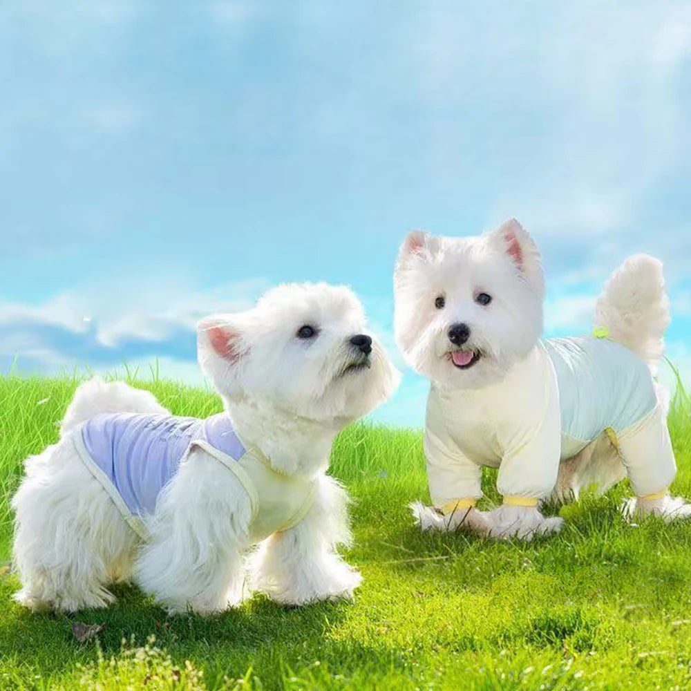 PetHaul UV Protection Dog Cooling Vest – Breathable Mesh Ice Jacket